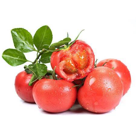 坏果包赔普罗旺斯西红柿沙瓤水果番茄当季新鲜蔬菜5斤